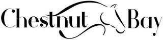 CHESTNUT BAY logo