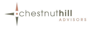 CHESTNUT HILL ADVISORS logo