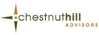 CHESTNUT HILL ADVISORS logo