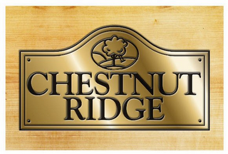 CHESTNUT RIDGE logo