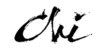 CHI logo