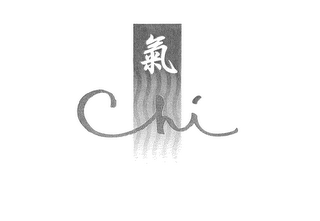 CHI logo