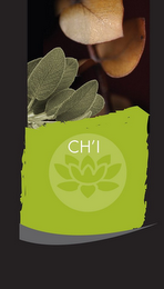 CH'I logo
