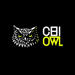 CHI OWL logo