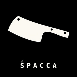 CHI SPACCA logo