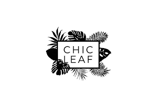 CHIC LEAF logo
