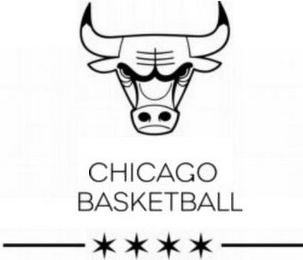 CHICAGO BASKETBALL logo