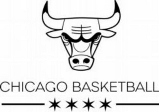 CHICAGO BASKETBALL logo