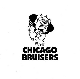 CHICAGO BRUISERS logo