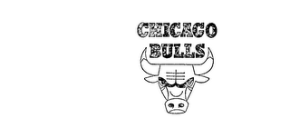 CHICAGO BULLS logo