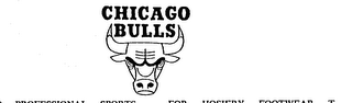 CHICAGO BULLS logo