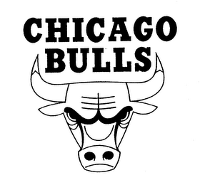 CHICAGO BULLS logo