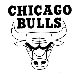 CHICAGO BULLS logo