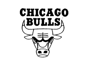 CHICAGO BULLS logo