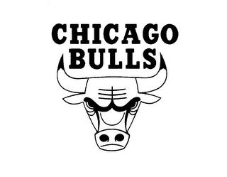 CHICAGO BULLS logo