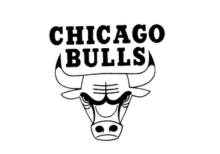 CHICAGO BULLS logo