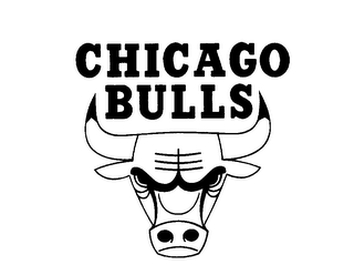 CHICAGO BULLS logo