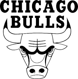 CHICAGO BULLS logo