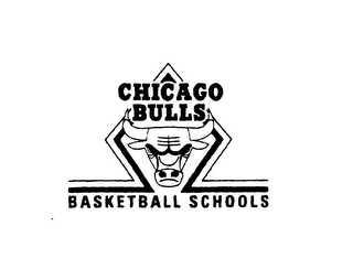 CHICAGO BULLS BASKETBALL SCHOOLS logo