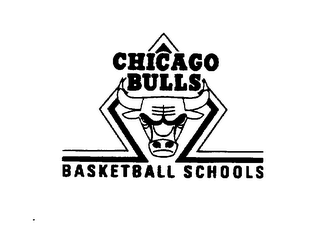 CHICAGO BULLS BASKETBALL SCHOOLS logo
