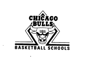 CHICAGO BULLS BASKETBALL SCHOOLS logo