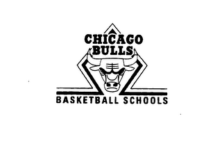CHICAGO BULLS BASKETBALL SCHOOLS logo