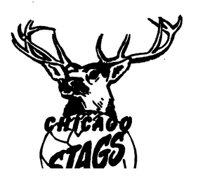 CHICAGO STAGS logo