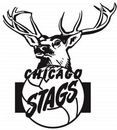 CHICAGO STAGS logo