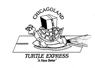 CHICAGOLAND TURTLE EXPRESS "A HARE BETTER" QUALITY TRUCKING SINCE 1936 logo