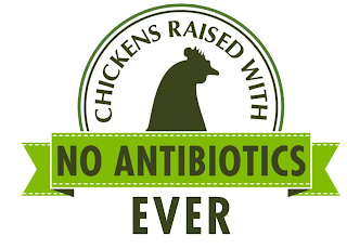 CHICKENS RAISED WITH NO ANTIBIOTICS EVER