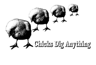 CHICKS DIG ANYTHING logo