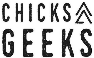CHICKS GEEKS logo