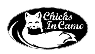 CHICKS IN CAMO logo