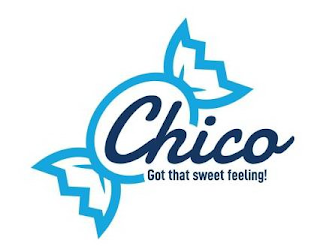 CHICO GOT THAT SWEET FEELING! logo