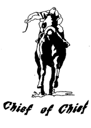 CHIEF OF CHIEF logo