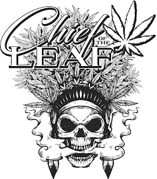 CHIEF OF THE LEAF logo