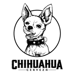 CHIHUAHUA CERVEZA logo