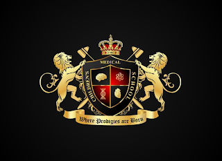 CHILDREN'S MEDICAL SCHOOL WHERE PRODIGIES ARE BORN CMS logo