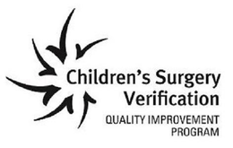 CHILDREN'S SURGERY VERIFICATION QUALITY IMPROVEMENT PROGRAM VVVVVV logo