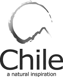 CHILE A NATURAL INSPIRATION logo