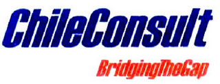 CHILECONSULT BRIDGING THE GAP logo