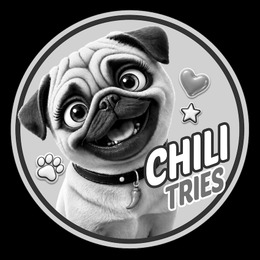 CHILI TRIES logo