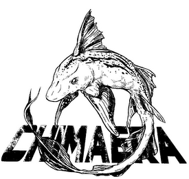 CHIMAERA logo
