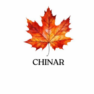 CHINAR logo