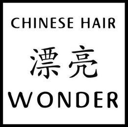 CHINESE HAIR WONDER logo