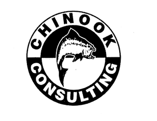 CHINOOK CONSULTING logo