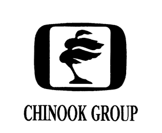 CHINOOK GROUP logo