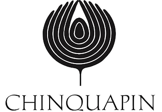 CHINQUAPIN logo