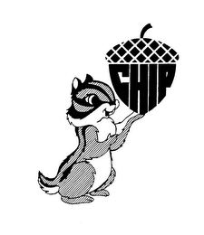 CHIP logo