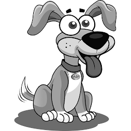 CHIP logo